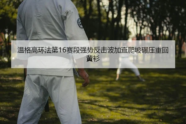 温格高环法第16赛段强势反击波加查爬坡碾压重回黄衫